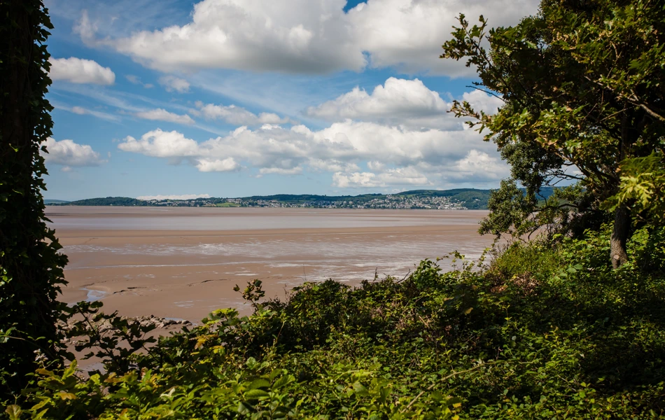 A view of the beach near the house