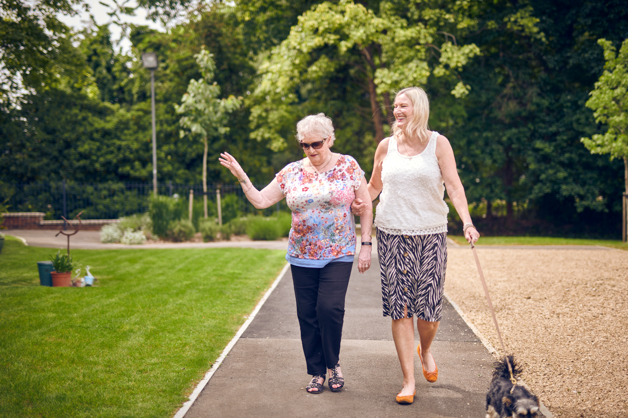 Two Women Walking Dog In Beautiful Sunny Garden