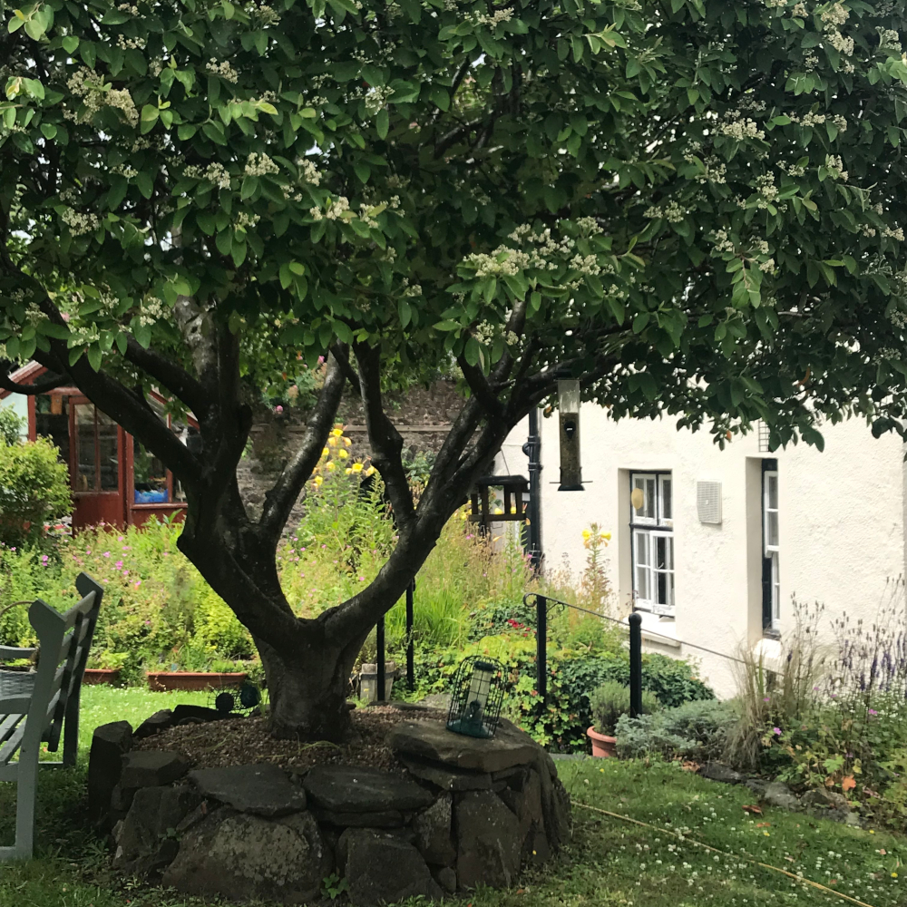 While Away The Hours In The Sunshine And Relax In Our Lovely Garden