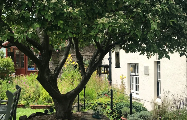 While Away The Hours In The Sunshine And Relax In Our Lovely Garden