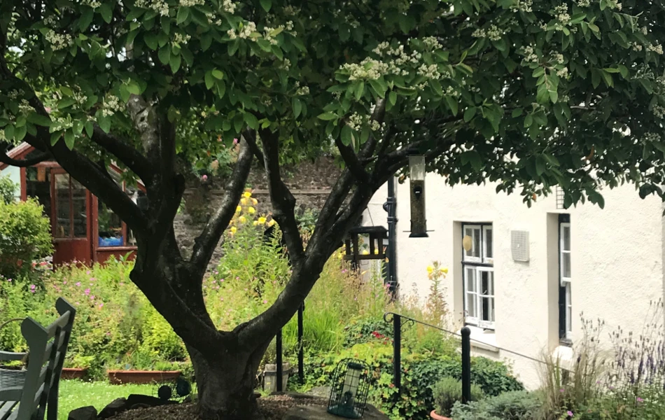 While Away The Hours In The Sunshine And Relax In Our Lovely Garden