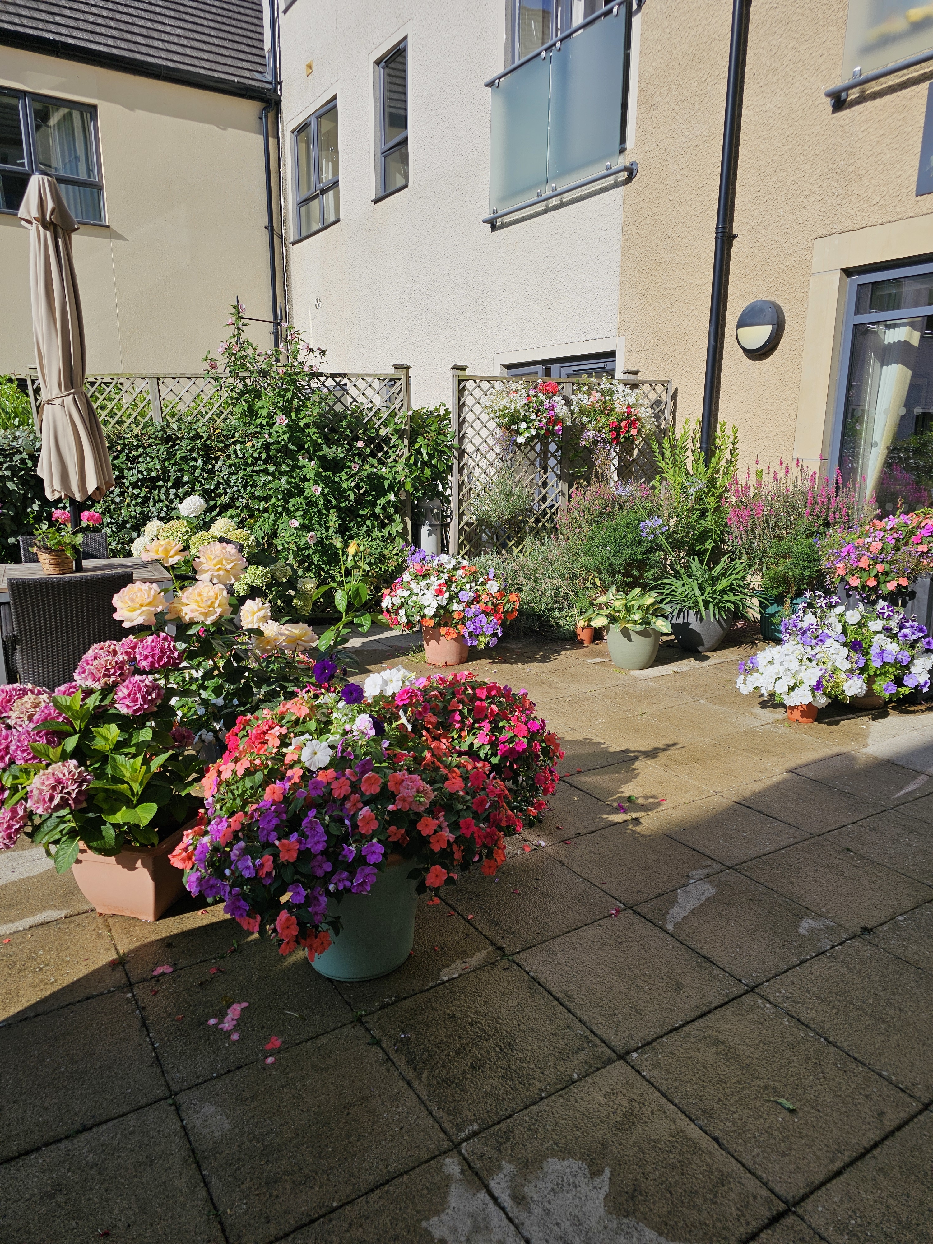 Garden1