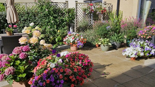 Garden1