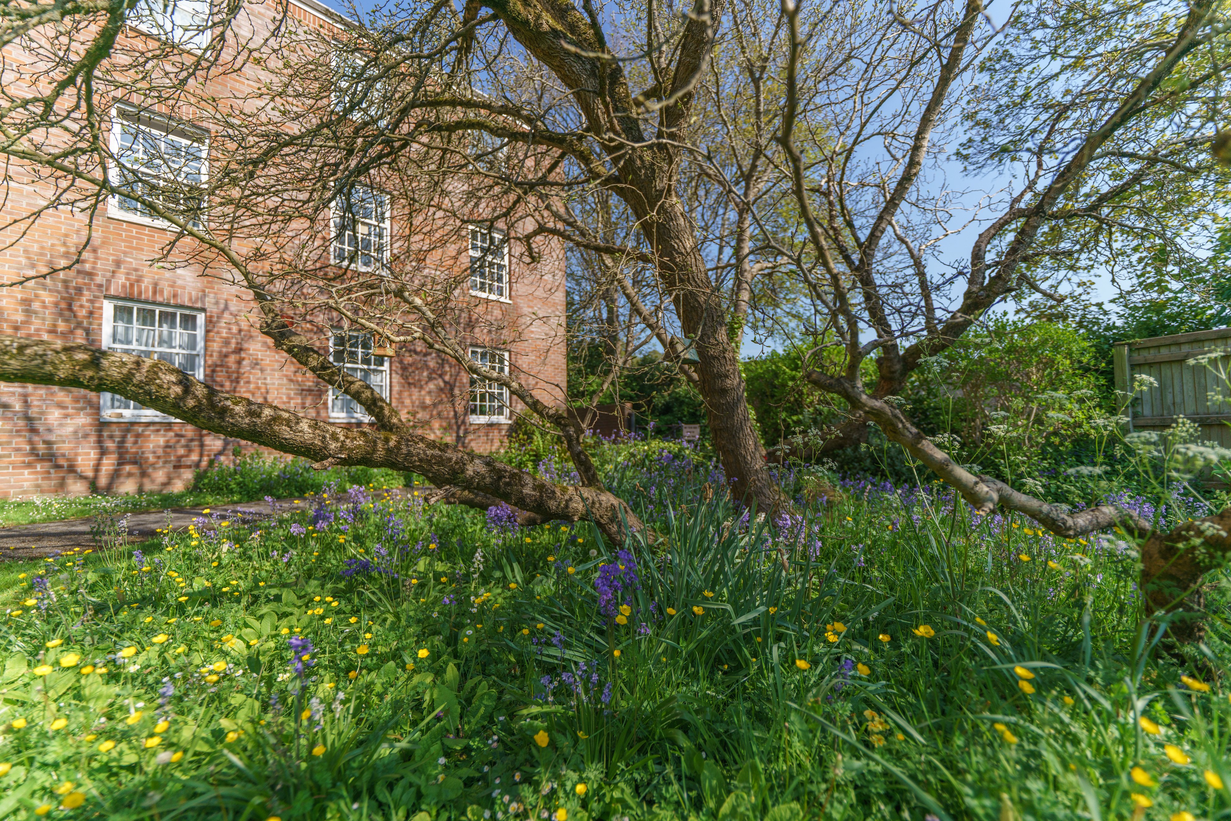 Flowers External The Old Vicarage, Wellington TA21 8RF