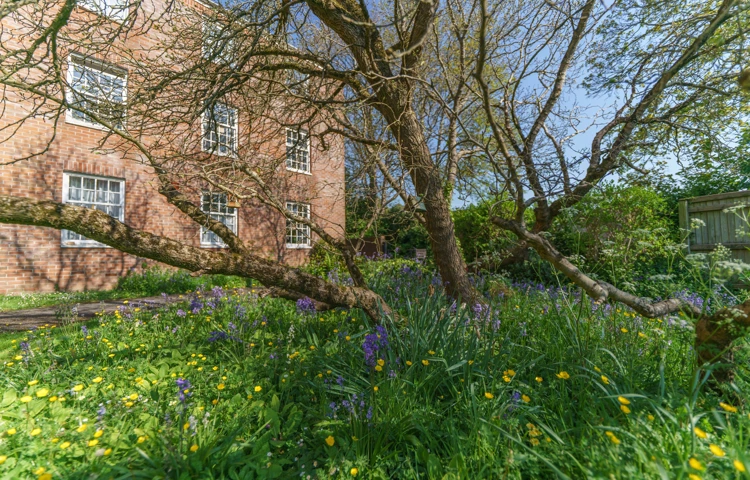 Flowers External The Old Vicarage, Wellington TA21 8RF