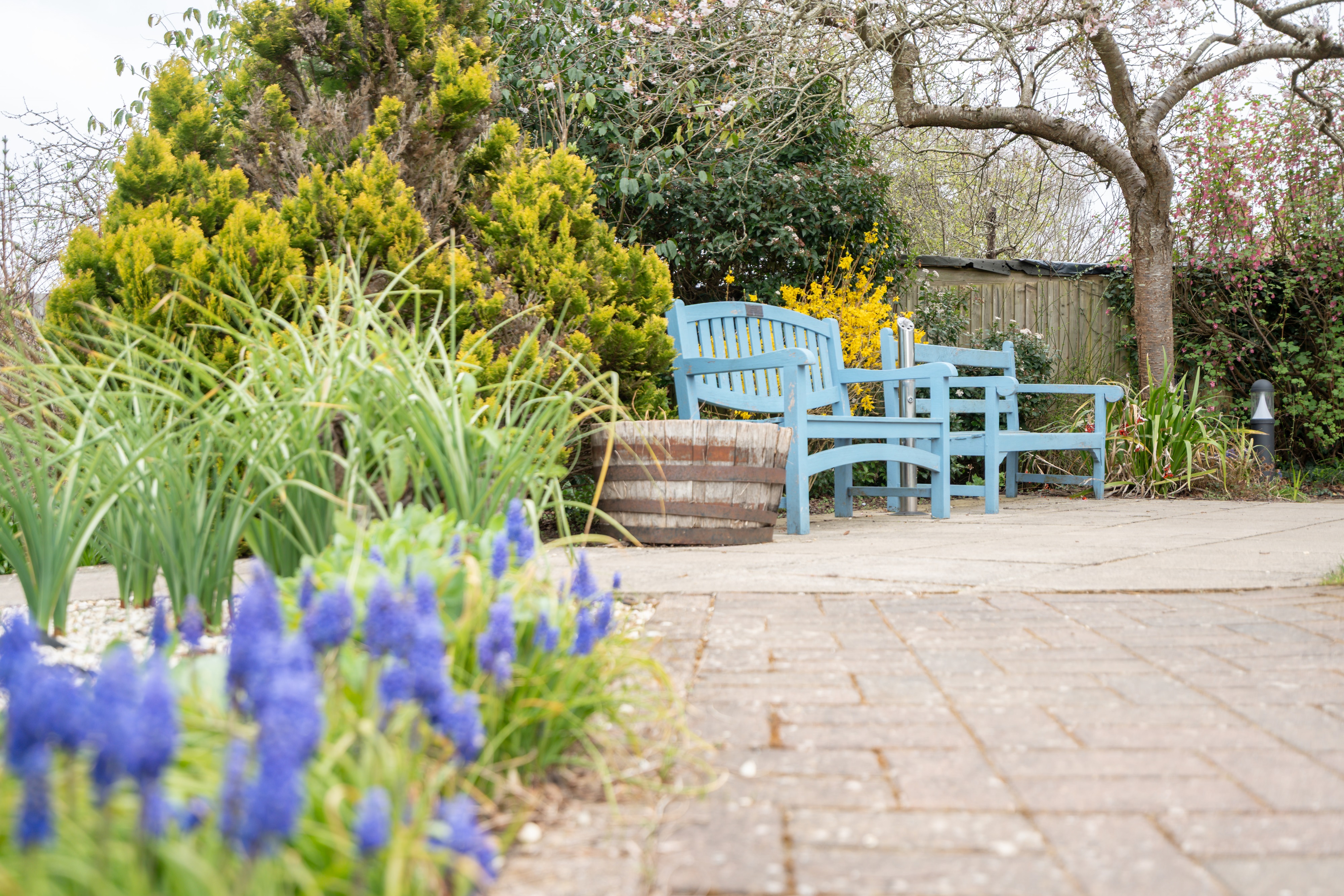 Benches In The Beautiful Gardens At Ridgway Court