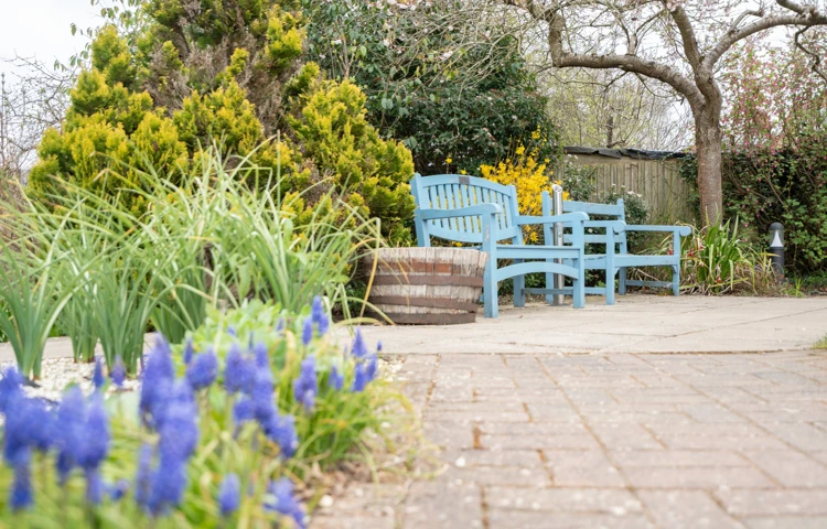 Benches In The Beautiful Gardens At Ridgway Court