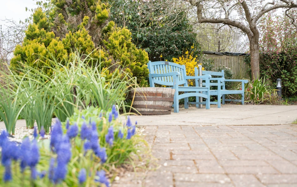Benches In The Beautiful Gardens At Ridgway Court