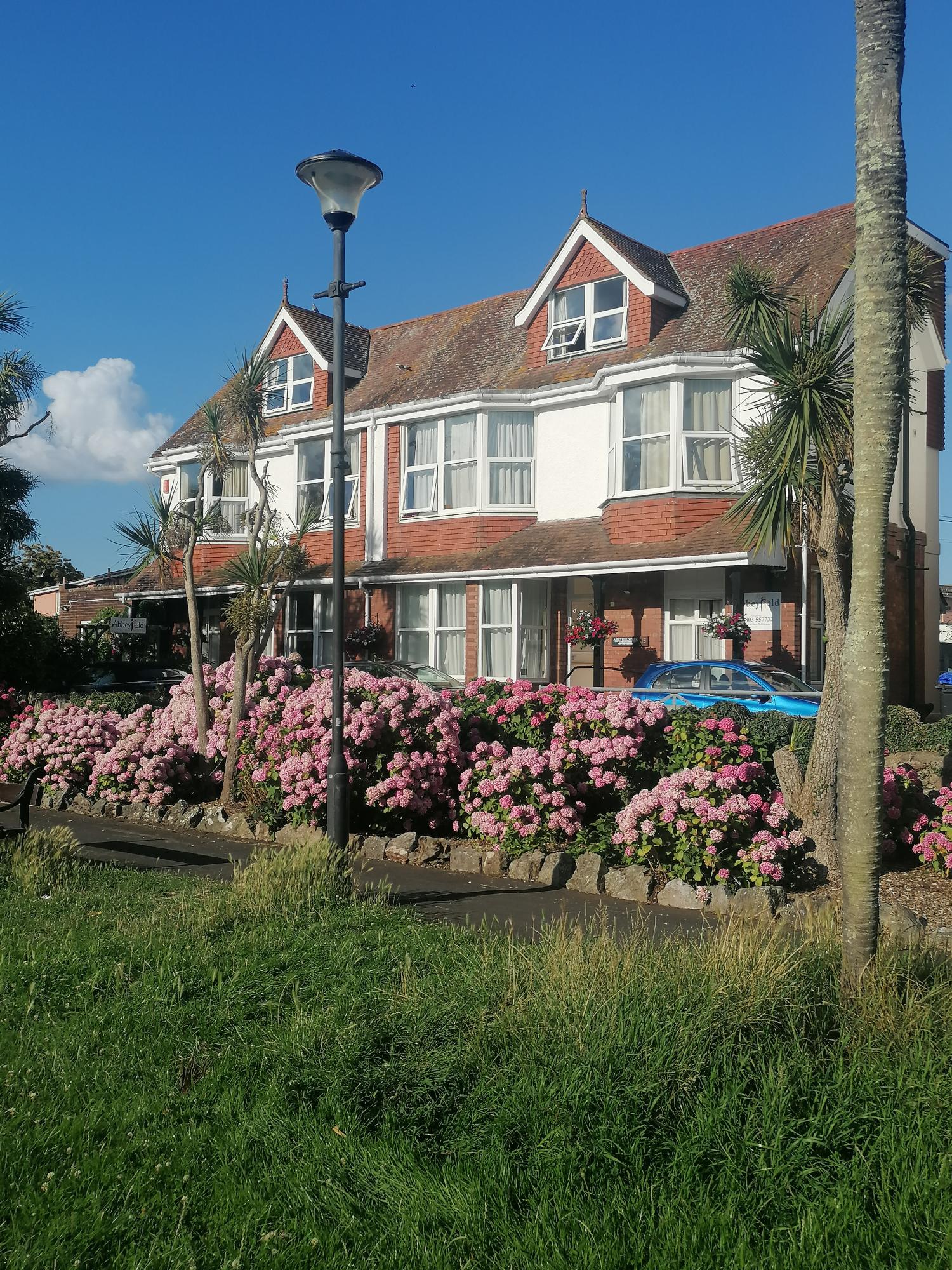 Rear Of House, Abbeyfield Park House,TQ4 6AX