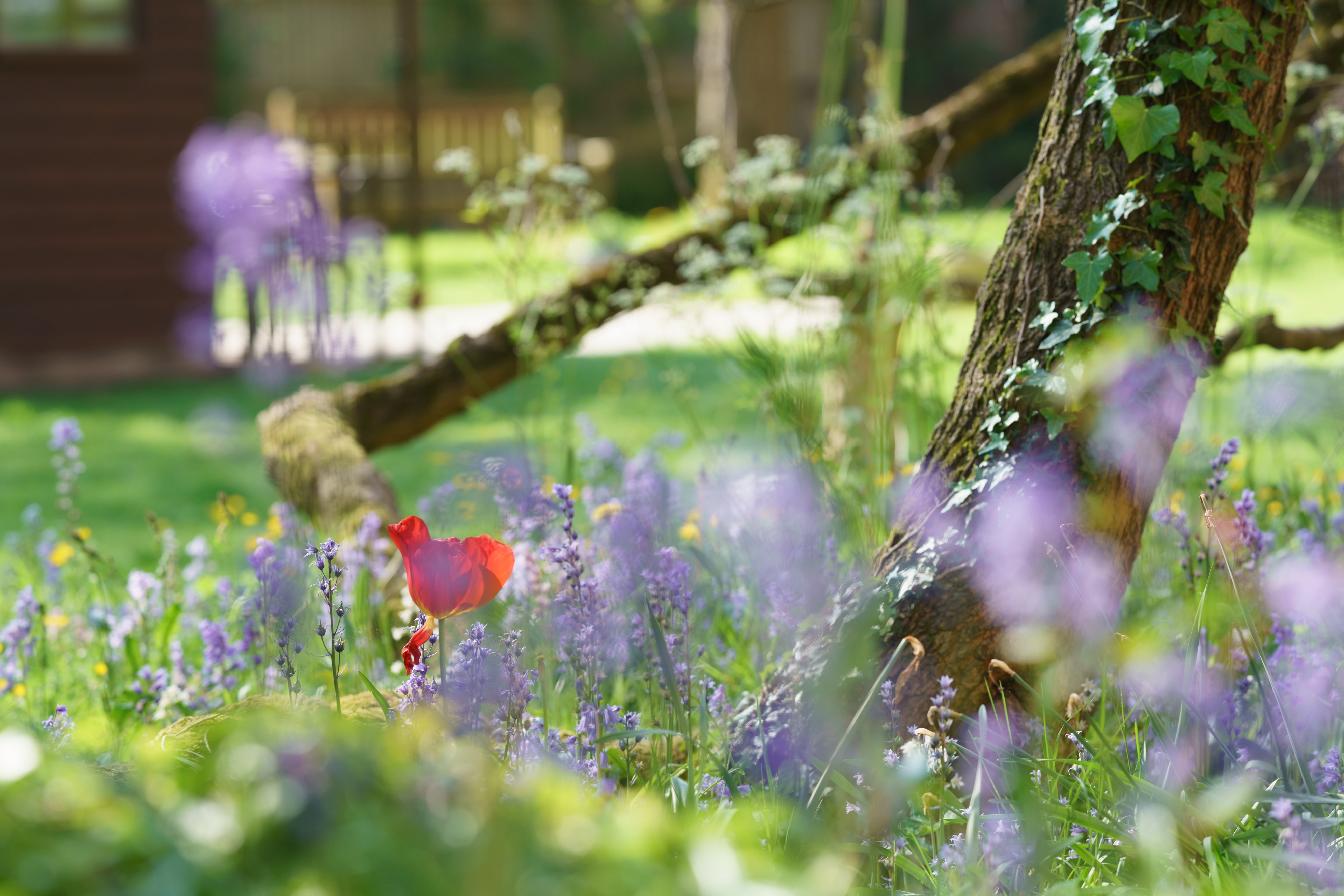 Gardens External The Old Vicarage, Wellington TA21 8RF