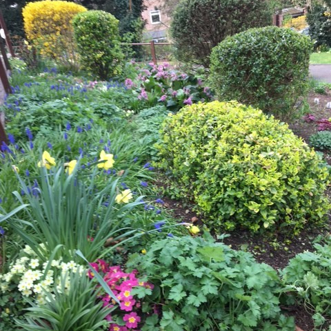 colourful-flowers-in-the-garden at Abbeyfield House, Sanderstead CR2 0AA