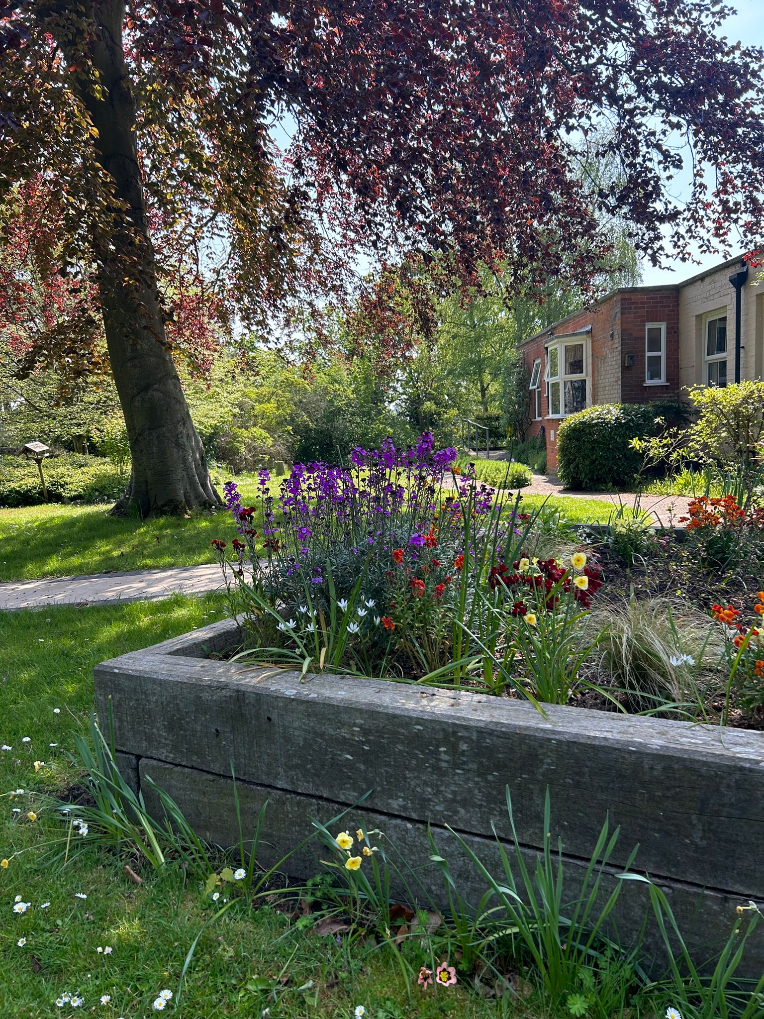 Rear garden at Highlands Care Home, Woodbridge IP12 1EN