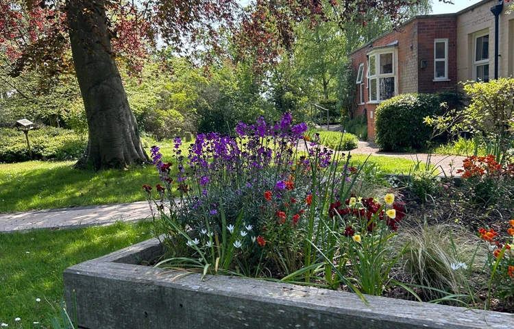 Rear garden at Highlands Care Home, Woodbridge IP12 1EN