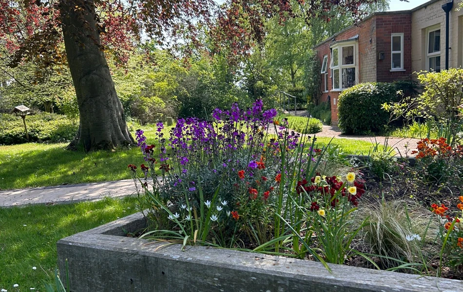 Rear garden at Highlands Care Home, Woodbridge IP12 1EN