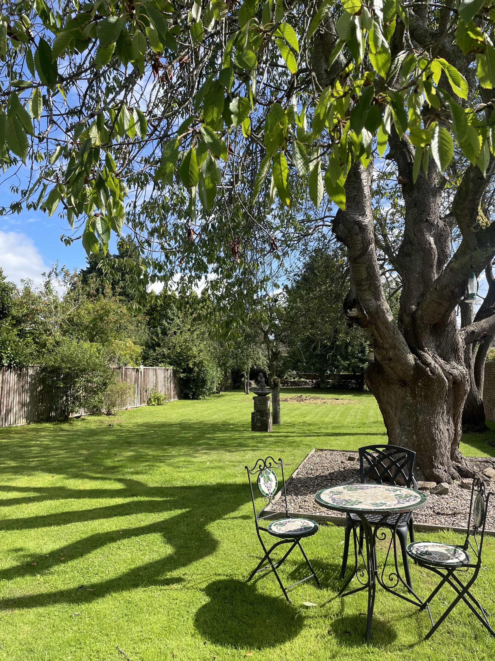 Microsoftteams Image (16)