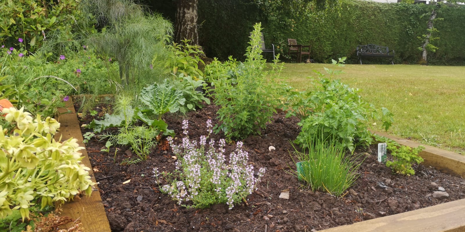 Raised bed in the garden at Abbeyfield House, Brecon LD3 7RT