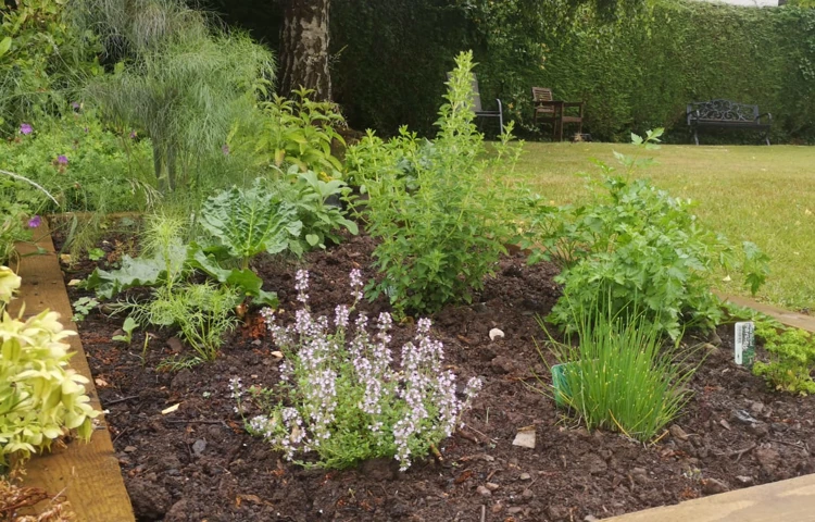 Raised bed in the garden at Abbeyfield House, Brecon LD3 7RT