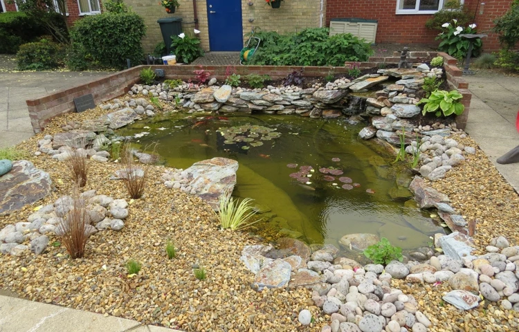 Pond at Paddy Geere House, a relaxing place for residents