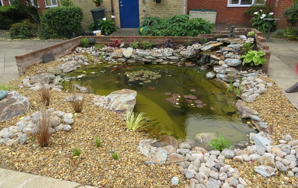 Pond at Paddy Geere House, a relaxing place for residents