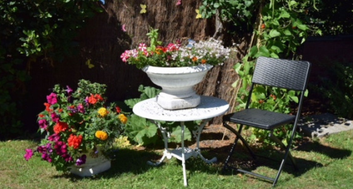 Green-fingered residents will love our garden (1)