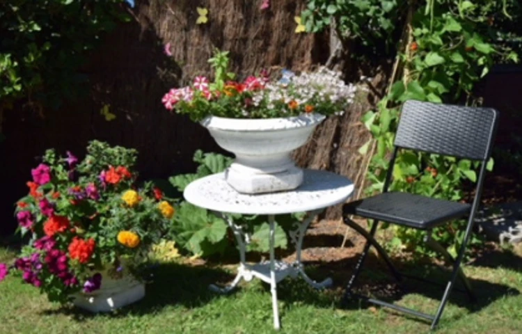 Green-fingered residents will love our garden (1)