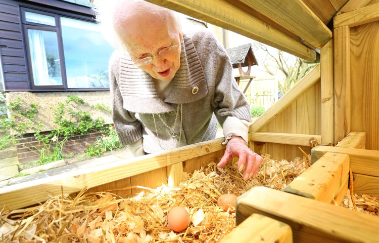 A resident is looking at the eggs laid by the hens at Armstrong House