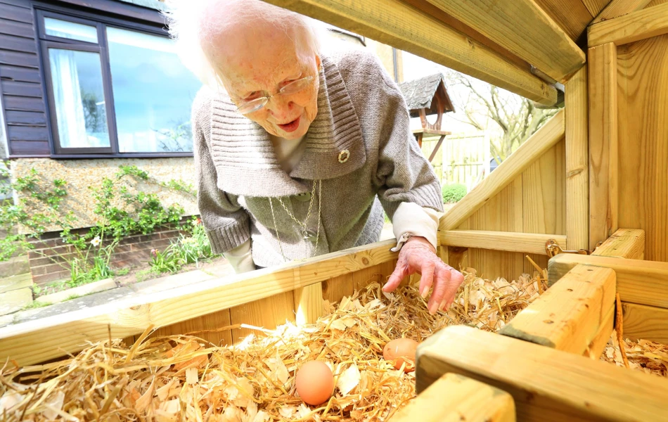 A resident is looking at the eggs laid by the hens at Armstrong House
