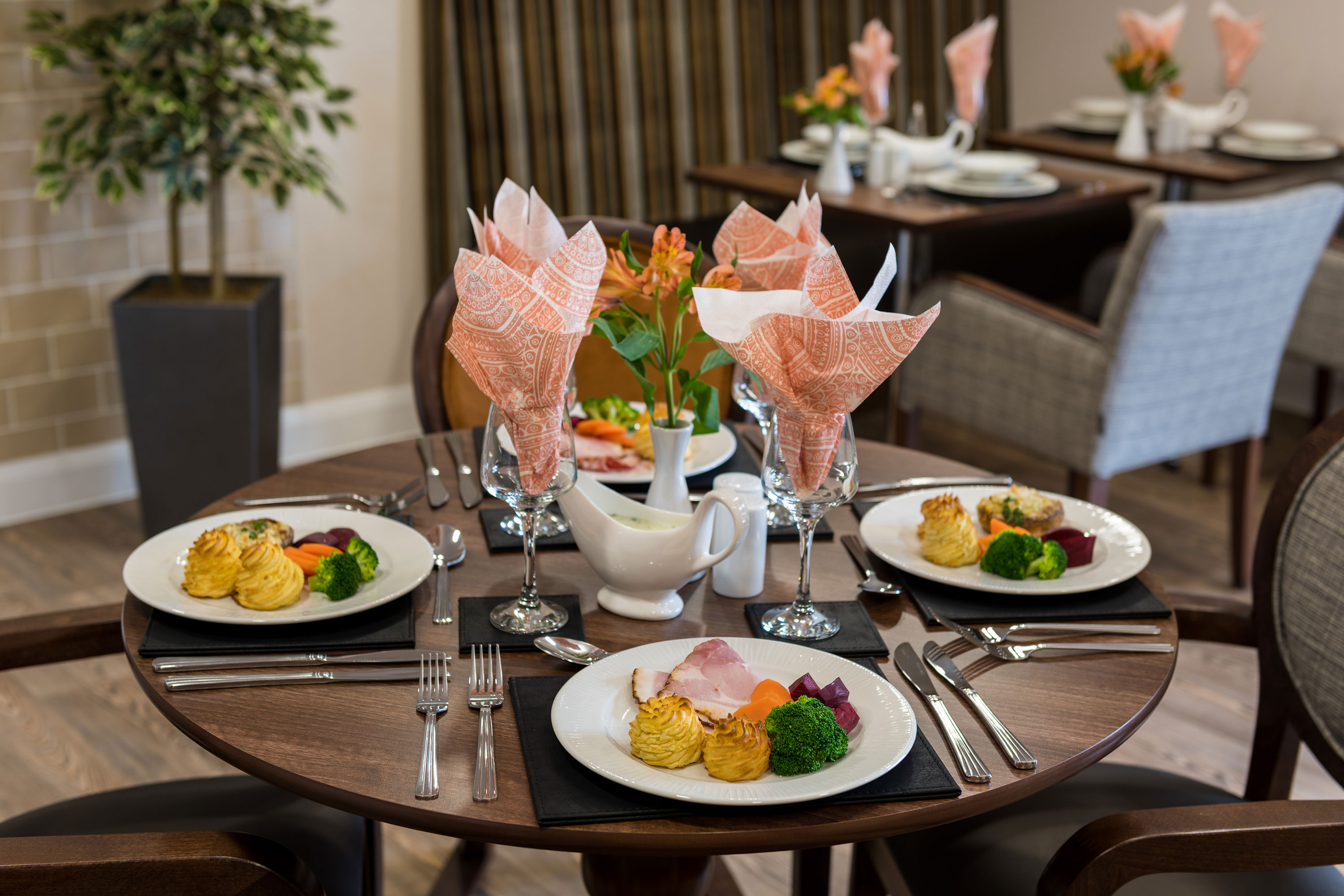 Savour delicious meals in our elegant dining room at Speedwell Court. Our beautifully presented meals and welcoming atmosphere create the perfect setting for socialising