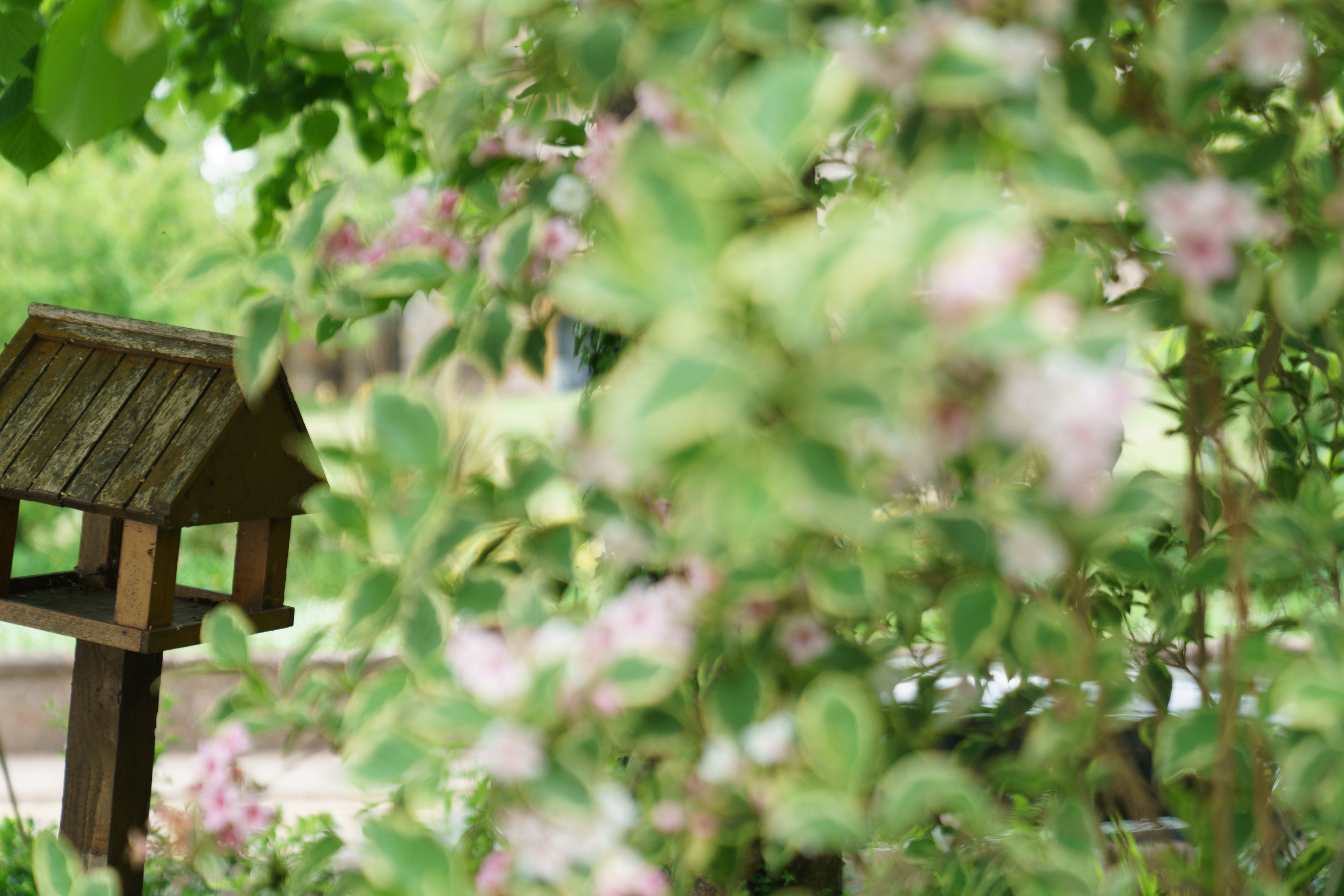 External The Old Vicarage, Wellington TA21 8RF (2)