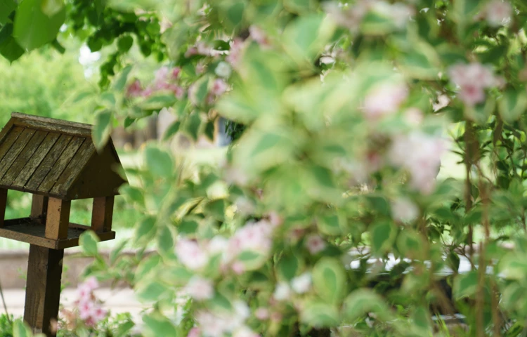 External The Old Vicarage, Wellington TA21 8RF (2)