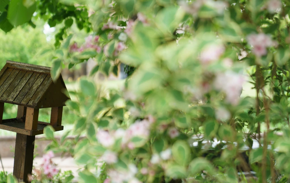 External The Old Vicarage, Wellington TA21 8RF (2)