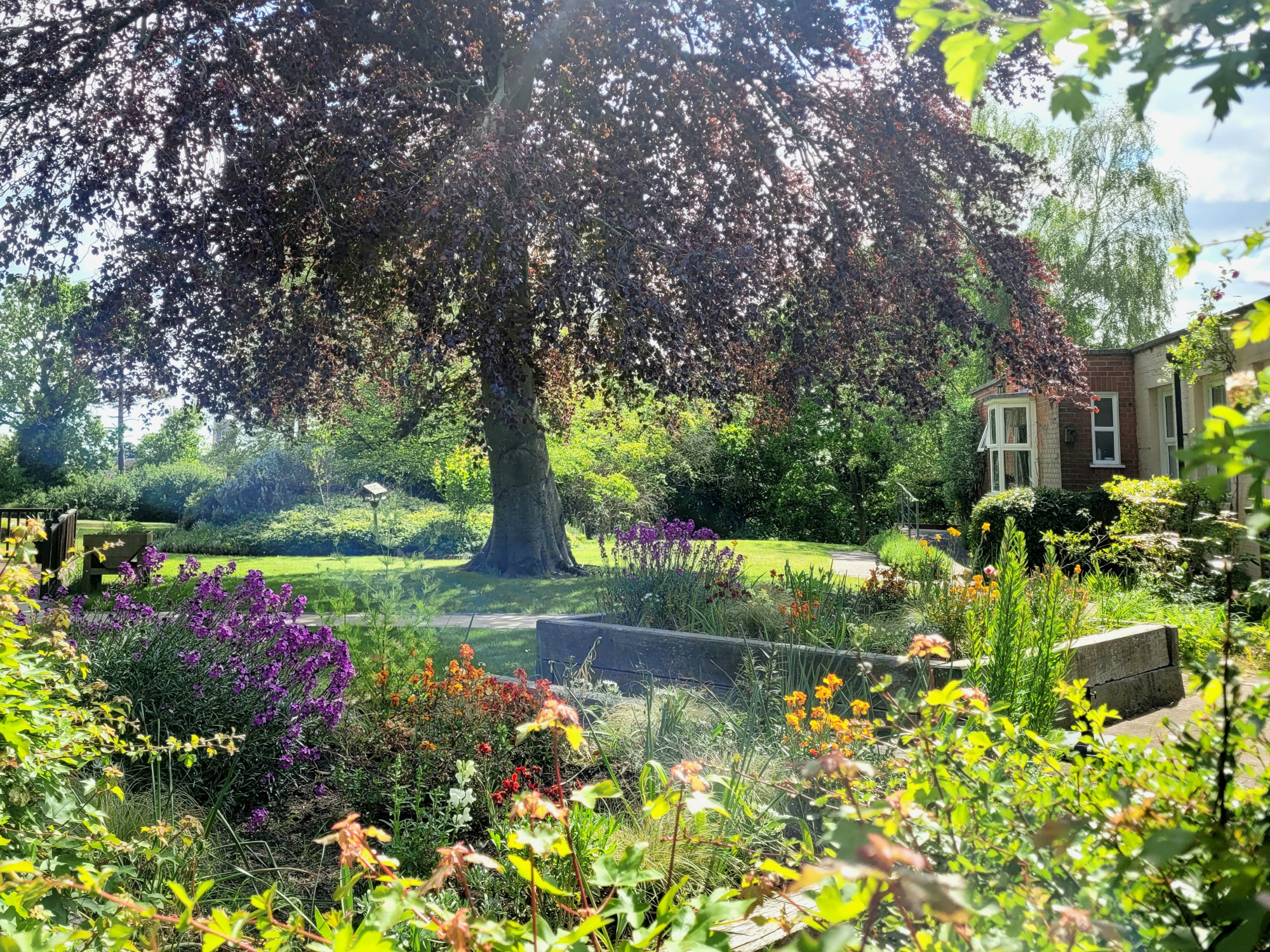 Summer Garden at Highlands Care Home, Woodbridge IP12 1EN