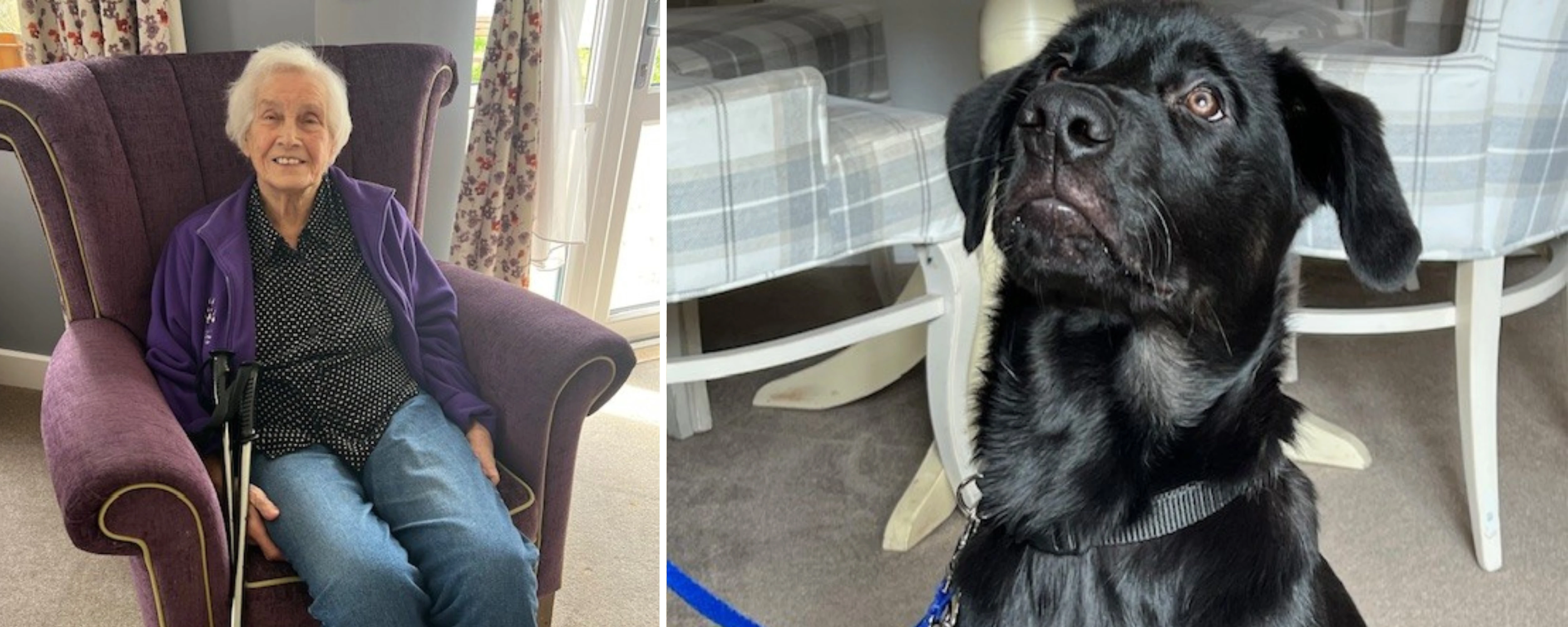 Winnersh Resident and Guide Dog