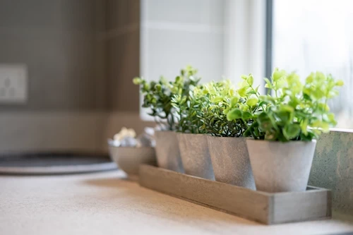 A row of pots on a windowsill