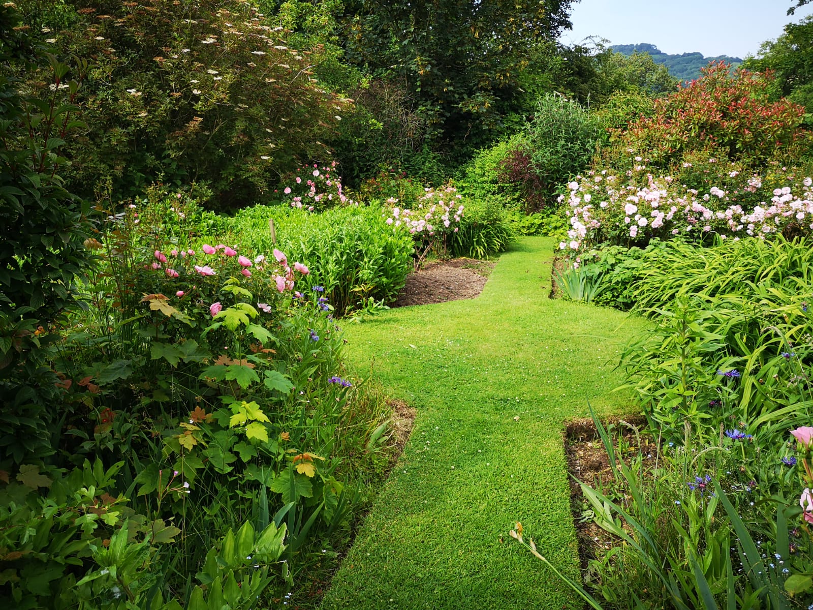 The beautiful landscaped garden full of flowers