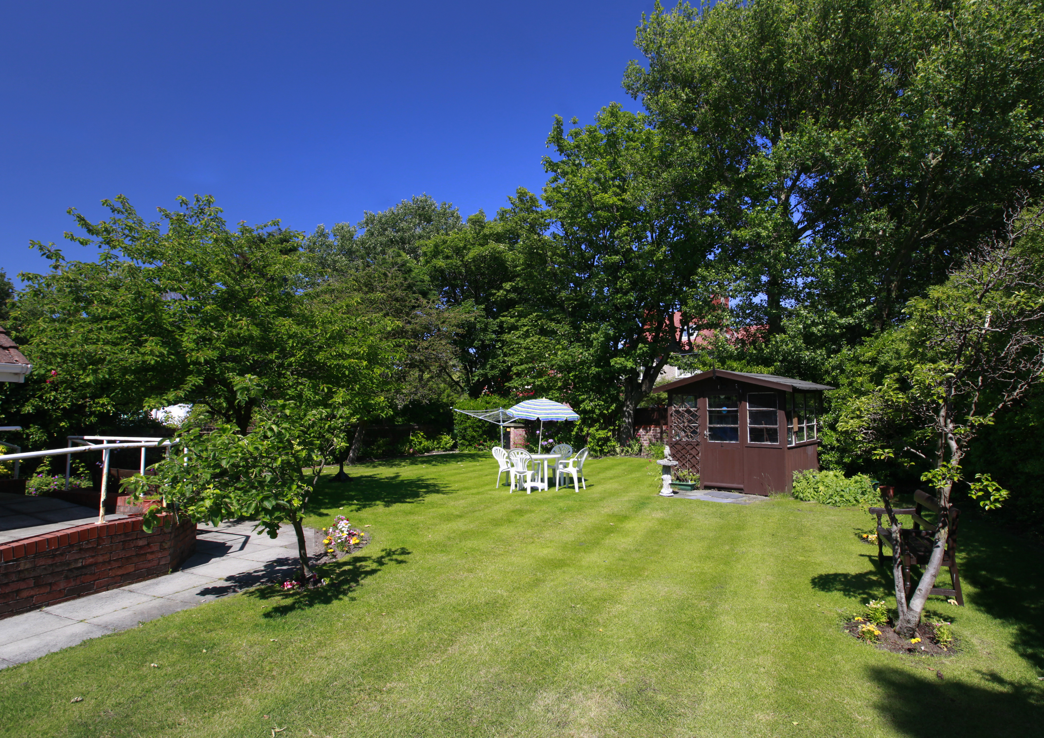 Large bright garden with tall trees and a wooden shed