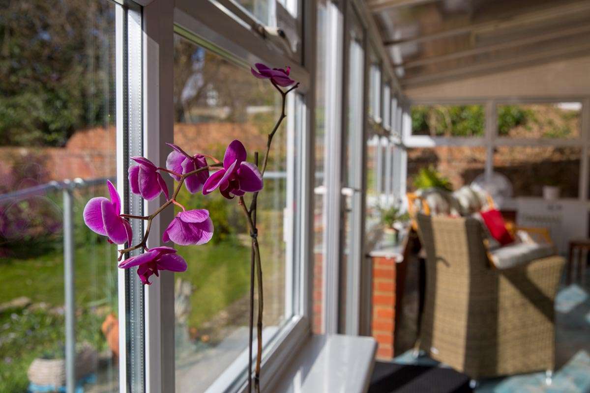 Orchid on the windowsill of the conservatory at Lade House