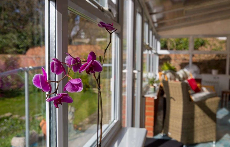 Orchid on the windowsill of the conservatory at Lade House