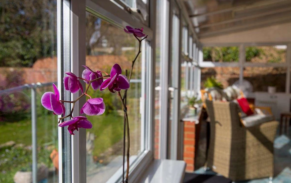Orchid on the windowsill of the conservatory at Lade House