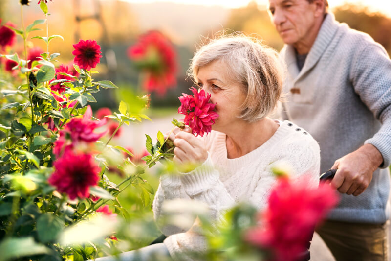 Resident Smelling The Beautiful Flowers In The Garden