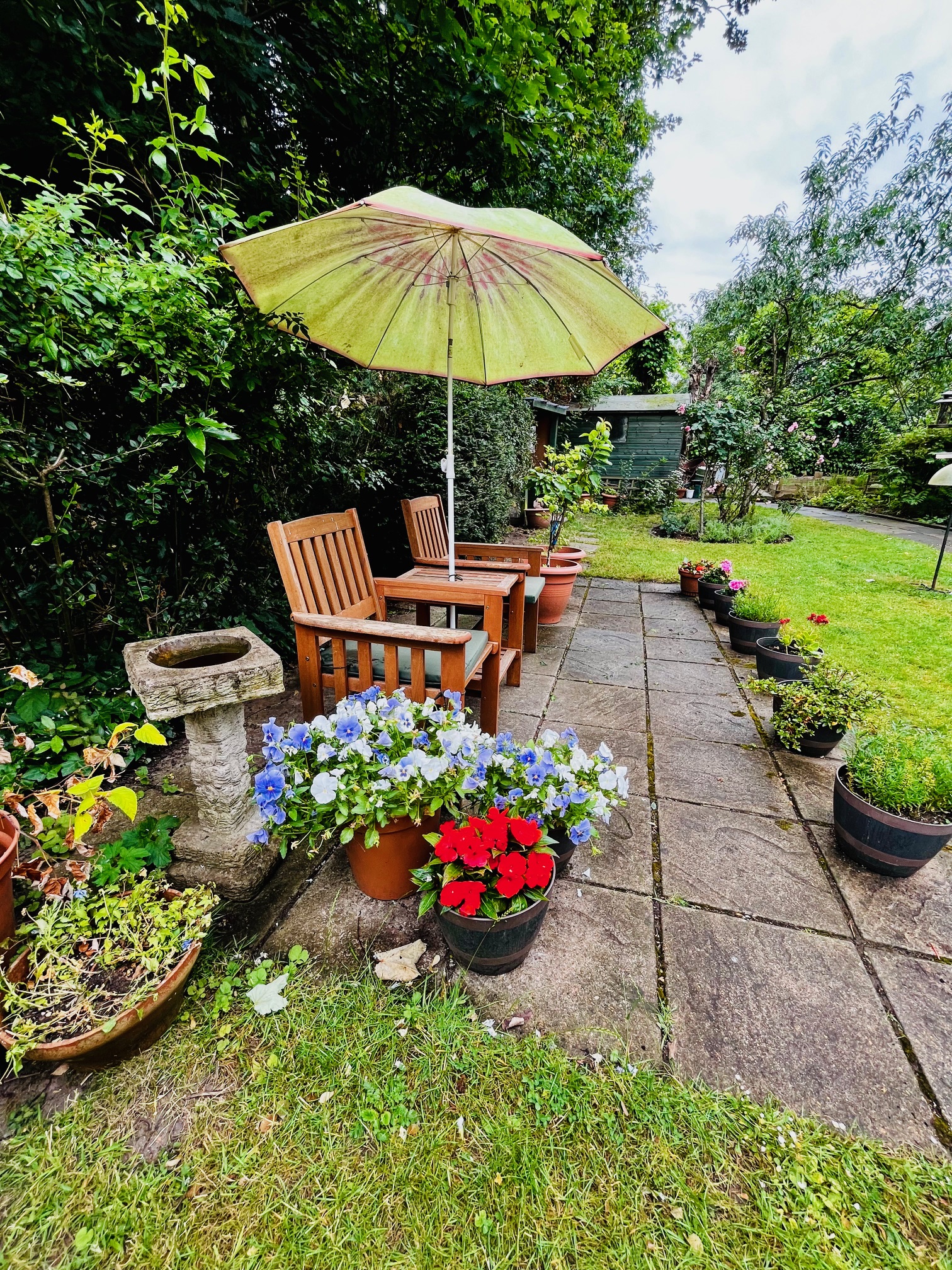 Garden at Abbeyfield House, Streatham SW16 6LT (2)