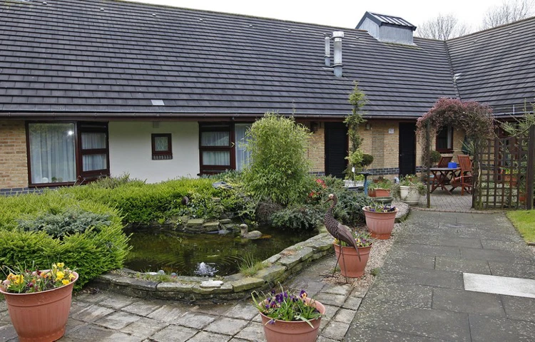 Pond area outside of the house