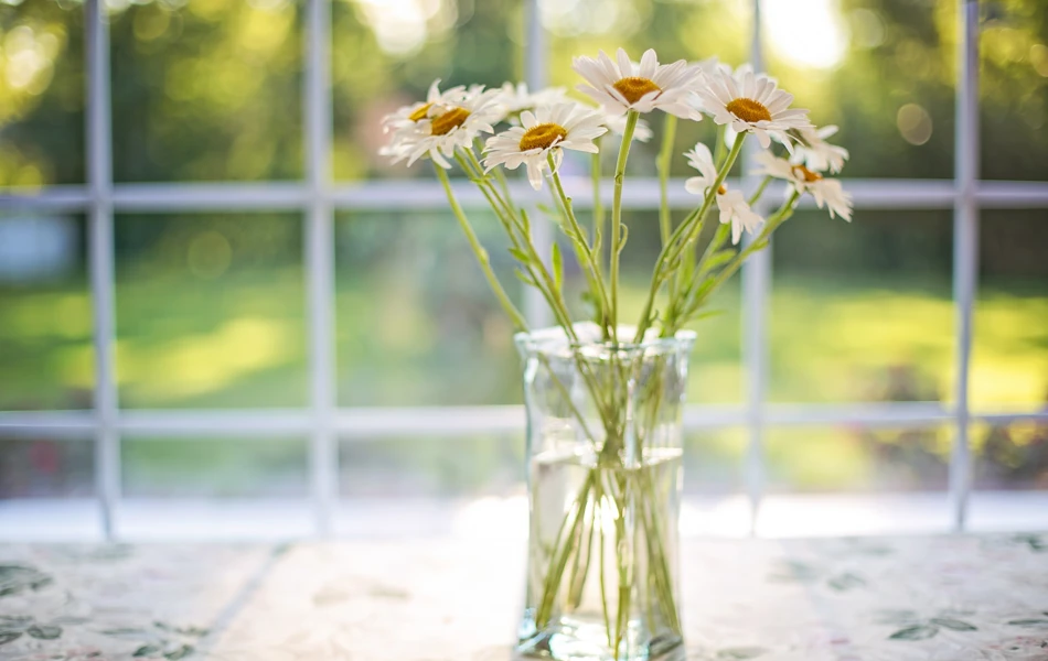 A vase of daisies placed in front of a window at Abbeyfield House, Ikley