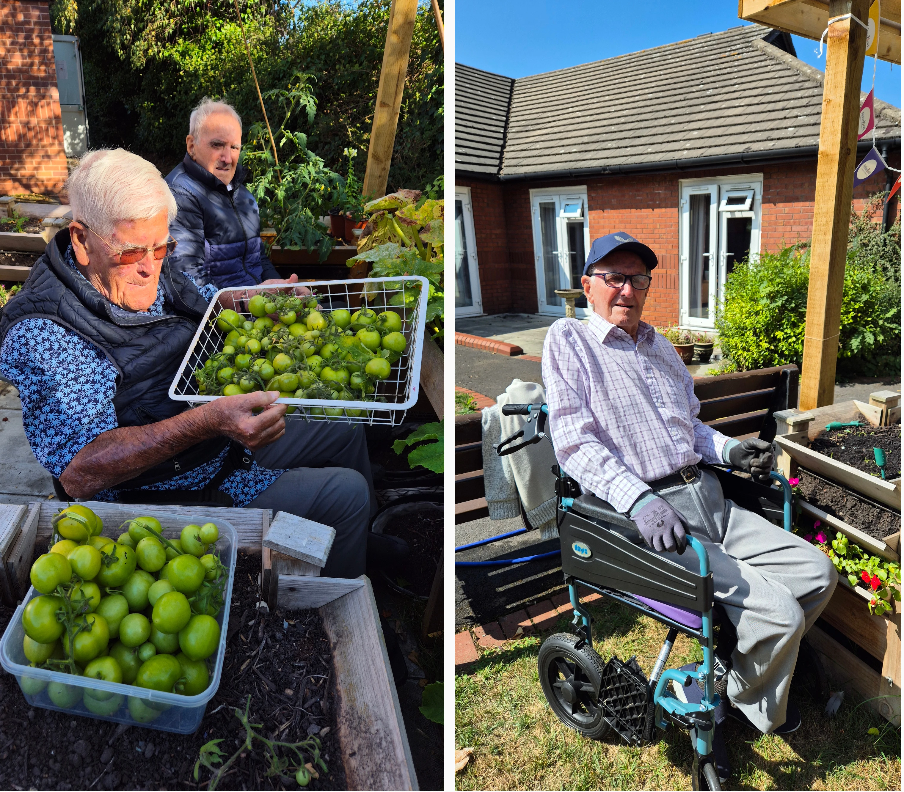 Collage of gardening club and residents growing produce