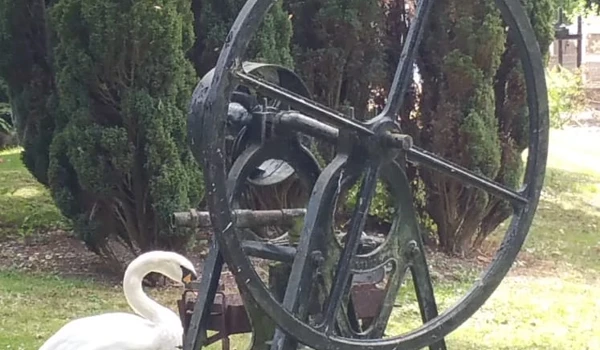 Waterways Experience