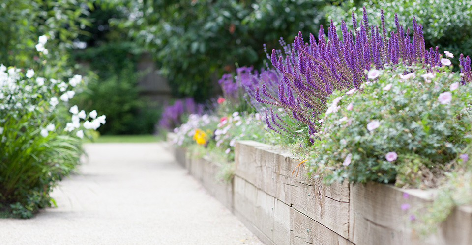 Raised beds in the garden at Cunningham House, Pirbright GU24 0JN