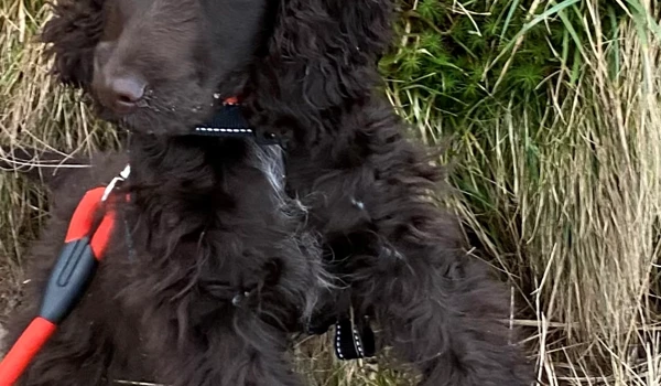 Meet Abbeyfield's newest resident!