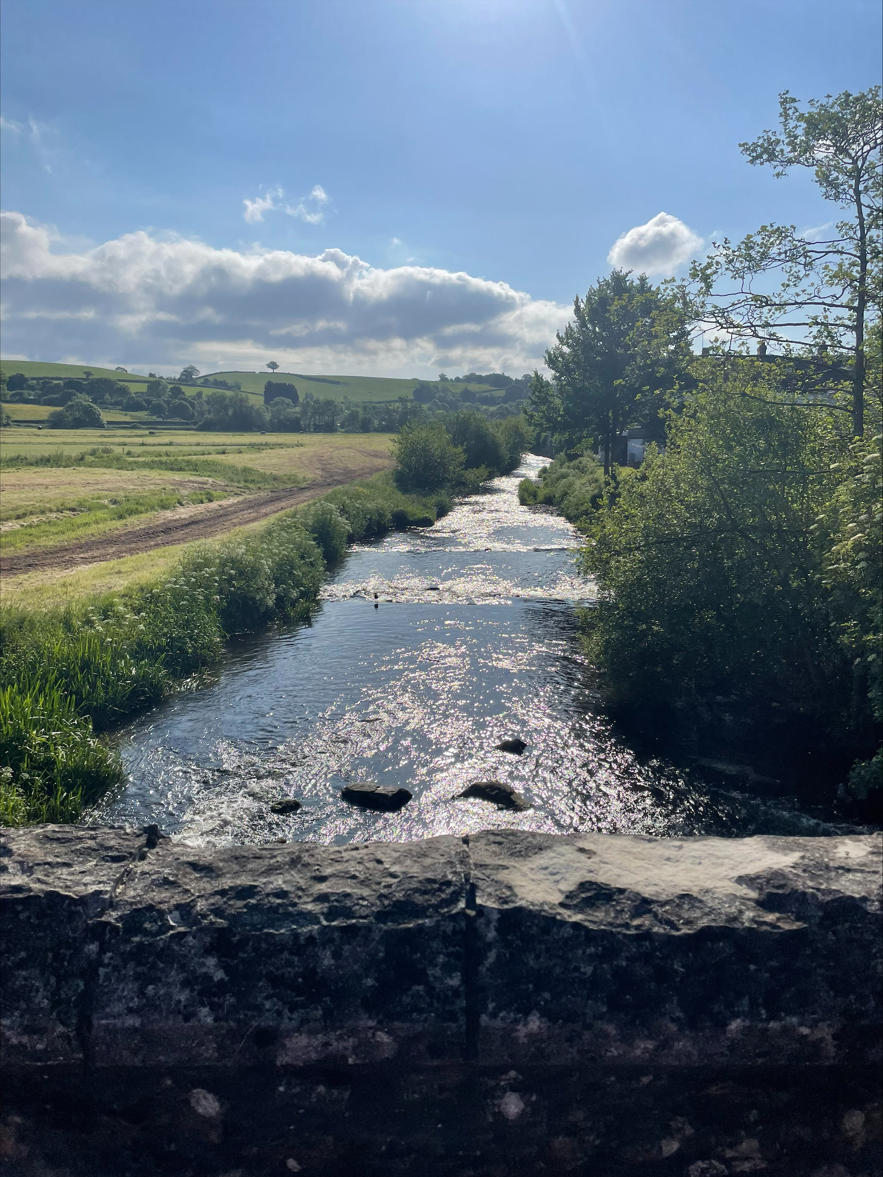 River near Marjorie Baker EX24 6LJ
