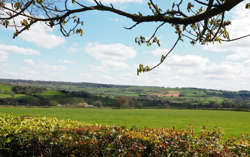 View over Blackdown Hills, from Hill House, Honiton