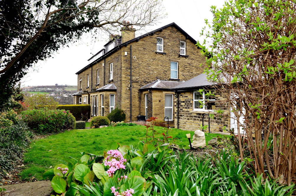 Flowers and plants in the house garden